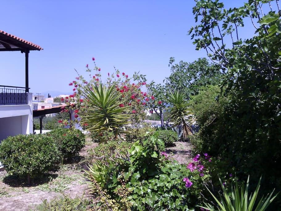 Explore Aegina Island Σουβάλα Εξωτερικό φωτογραφία