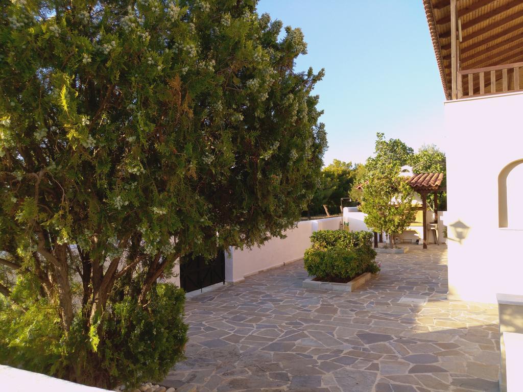 Explore Aegina Island Σουβάλα Εξωτερικό φωτογραφία